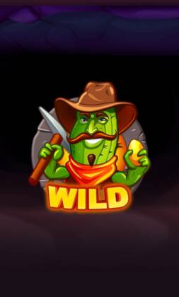 Gold Rush With Johnny slot bij Instant Casino